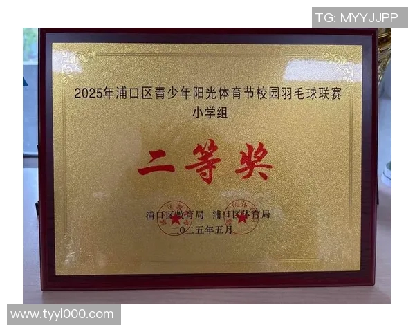 深圳羽毛球队在羽毛球比赛经验排行榜中荣获第二名的背后故事与启示