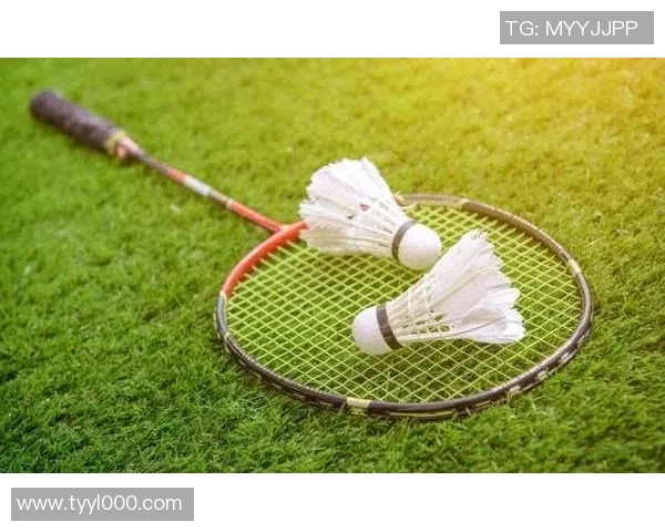 聚焦羽毛球成都羽毛球队如何提升速度与技术的完美结合 聚焦羽毛球成都羽毛球队如何提升速度与技术的完美结合